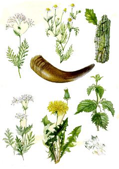 In questa grafica si possono vedere i sette preparati biodinamici necessari per questo tipo di agricoltura