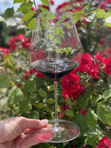 Un vino morbido, vivace e dinamico, ideale per la serata con gli amici