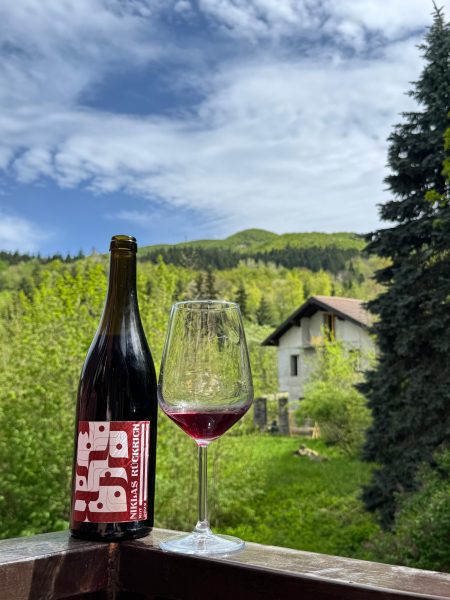 foto vino rosso niklas